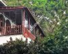 Sinop Orman Kampı