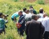 Şırnak Süt Üreticileri Birliği