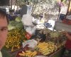 Şok-tekirova Antalya Şubesi