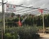 Solucandır Organik Solucan Gübresi
