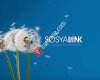Sosyalink TV