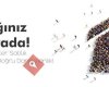 Soylu Gayrimenkul