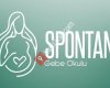 Spontan Psikolojik Danışmanlık ve Gebe Okulu