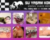 Su yaşam kompleksi