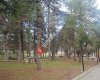 Süleyman Arslan Parkı
