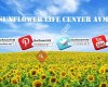 Sunflower Life Center AVM
