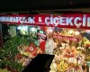 Sur Çiçekçilik