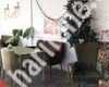 Tabiat Cafe