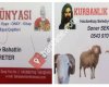 Takı Dünyası