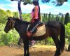 Tanyeri • Kahvaltı • Evi
