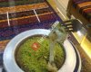 Tarçın Cafe Közde Künefe