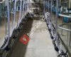 Tarım makinaları ve Hayvancılık