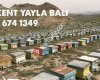 Taşkent YAYLA BALI