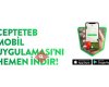 TEB
