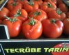 Tecrübe Tarım inş.pet.kuy.tic.tur.ltd.şti