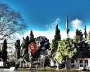 Terme Bilgi