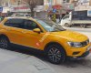 Termik TAKSİ