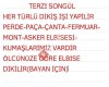 TERZİ SONGÜL
