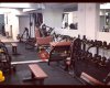 Tiger GYM