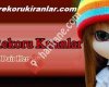 Tiklanmarekorukiranlar.com