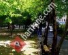 Tirebolu Mehmet Bayrak Meslek Yüksekokulu