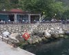 Tirilye yelken kulüp