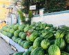Toksal Meyve ve Sebze