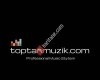 toptanmuzik.com