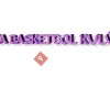 Tosya Basketbol  Kulübü