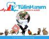 Tülin Hanım Veteriner Kliniği