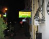 Tulip Guesthouse