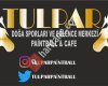 Tulpar Doğa Sporları & Paintball