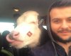 Turgutlu Tekin Veteriner Kliniği