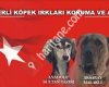 Türk Köpekleri - Turkish Dogs