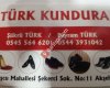 Türk Kundura