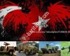 TÜRK Savunma Teknolojileri/TURKISH Defense Technology