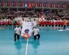Türkiye Hentbol Federasyonu Başkanlığı