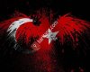 Türkiye Tavşan Üretimi