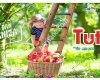 TUTAR Market - 