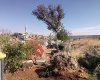 Ulak Köyü Muhtarlığı