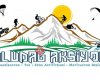 Uludağ Aksiyon Organizasyon