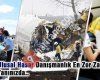 Ulusal Hasar Danışmanlık