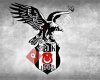 Ümraniye Beşiktaş Futbol Okulu