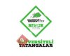 Üniversiteli Tatangalar