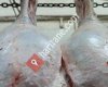 Ünlüer Gurme - Gönen Sarıköy Mezbahası