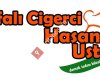 Urfalı Ciğerci Hasan Usta