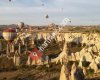 Ürgüp Balloons
