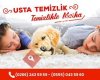 Usta Halı Yıkama