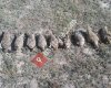 Üzerliktepe Mahallesi Muhtarlığı