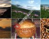 Vakfıkebir Kaymakamlığı